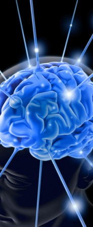 El Mundo del 3D y las diferencias de género Percibimos el mundo de manera diferente de acuerdo a nuestro género ? Si bien es más que probado, que existen diferencias entre hombres y mujeres a nivel sicológico y físico; como afectan...