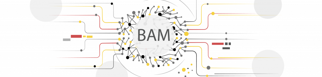 BAM-building-algorithmic-modelling